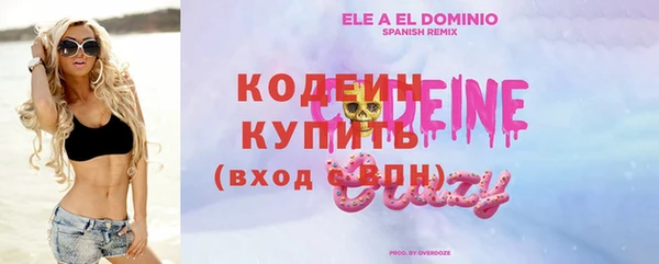 хмурый Арсеньев