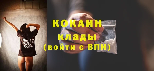 хмурый Арсеньев