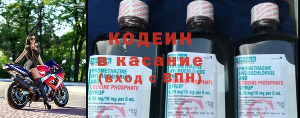 хмурый Арсеньев