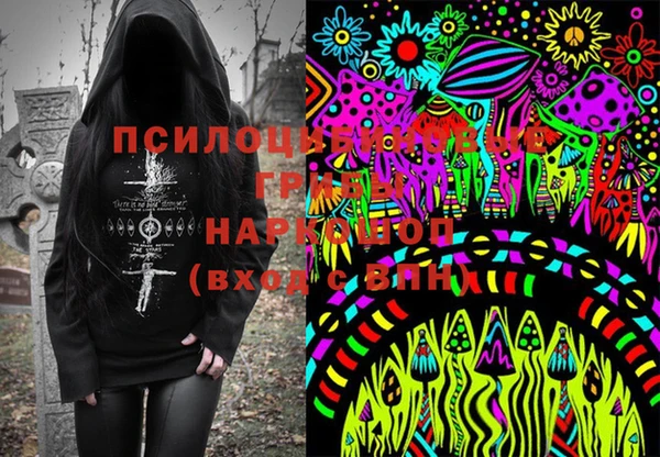 хмурый Арсеньев