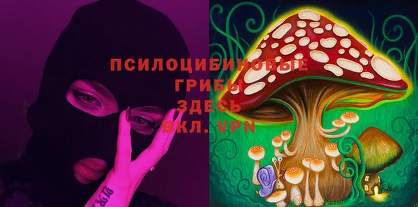 хмурый Арсеньев