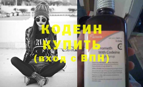 хмурый Арсеньев