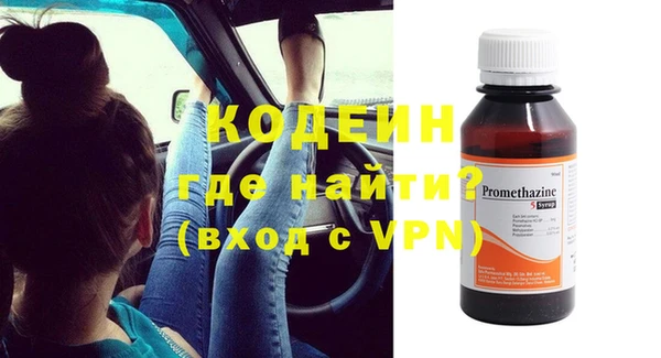 хмурый Арсеньев