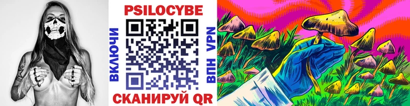 где можно купить наркотик Ленск Псилоцибиновые грибы Cubensis